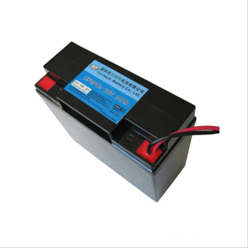 Batería de iones de litio Ebike Battery 24V 10ah